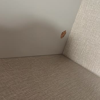 Kelebek Mobilya Kelebek Gardırop Rafları Kırılıyor