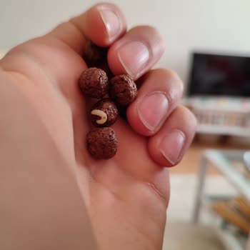 Kellogg's Cocopops Fan Kurt Çıktı