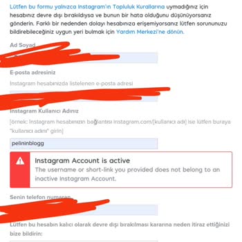 Instagram Hesabım Kısıtlandı