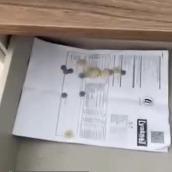 Enza Home Eşya Kurulumu Şikayeti