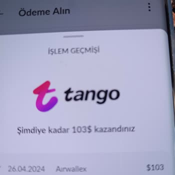 Airwallex Uygulama Para Yatmaması