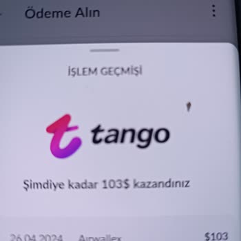 Airwallex Uygulama Para Yatmaması