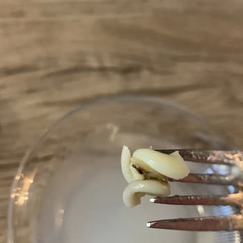 Bizden Gıda Bizden Makarnada Siyahlık