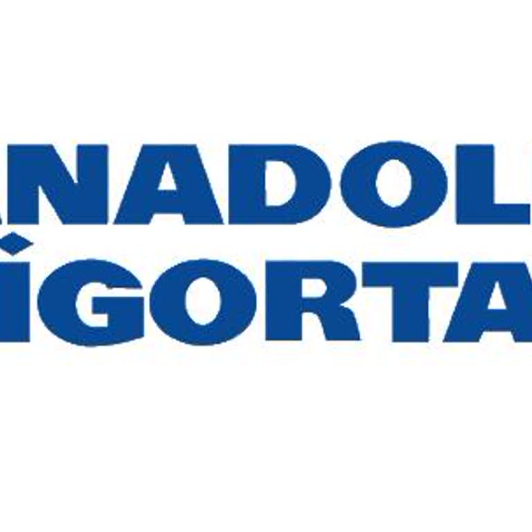 Anadolu Sigorta Sağlık Sigortası Yenileme Sürecinde Yaşanan Sorunlar