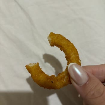 McDonald's Soğan Halkasından Sinek Çıktı