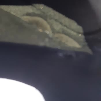 Skechers Olka Spor Dan Alınan Erkek Spor Ayakkabı Hatalı Ürün...