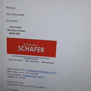 Schafer Ürün Gönderme Problemi