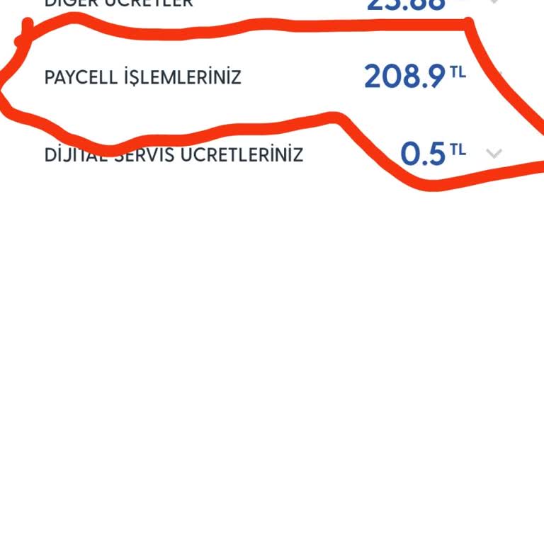 Paycell Fatura Dan Gelen Fazla Yansıtmaları
