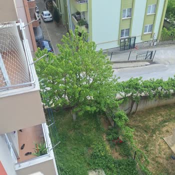 SEDAŞ Elektrik Arıza Kaydı