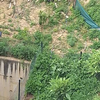 SEDAŞ Elektrik Arıza Kaydı