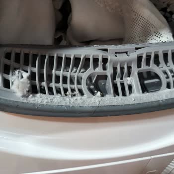 Beko Kurutma Makinesi Kronik Sıkıntılı Olabilir Mi?