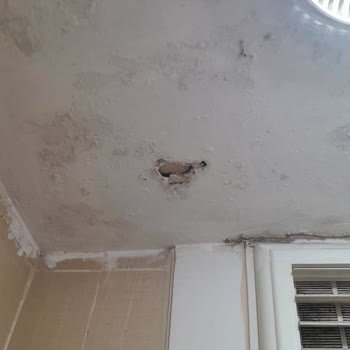 İBB - İstanbul Büyükşehir Belediyesi Üst Komşudan Gelen Su Sızıntısı