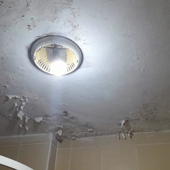 İBB - İstanbul Büyükşehir Belediyesi Üst Komşudan Gelen Su Sızıntısı