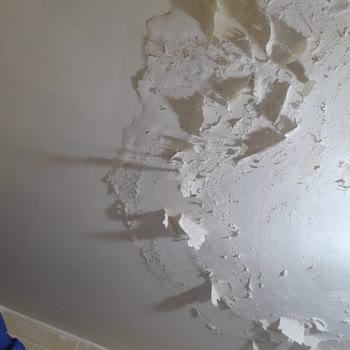 İBB - İstanbul Büyükşehir Belediyesi Üst Komşudan Gelen Su Sızıntısı