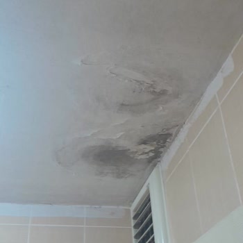 İBB - İstanbul Büyükşehir Belediyesi Üst Komşudan Gelen Su Sızıntısı