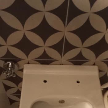 Seramiksan Klozet Kapağı Yerinden Çıktı