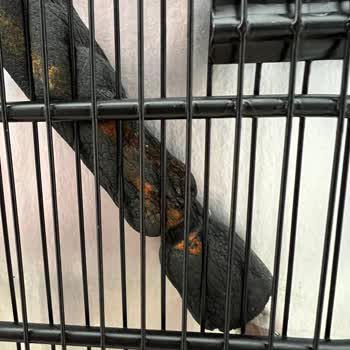 Arçelik Derin Dondurucu Hakkında