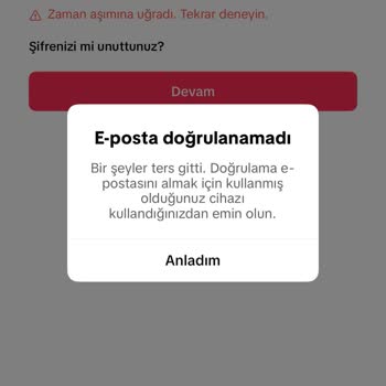 TikTok İstek Zaman Aşımına Uğradı