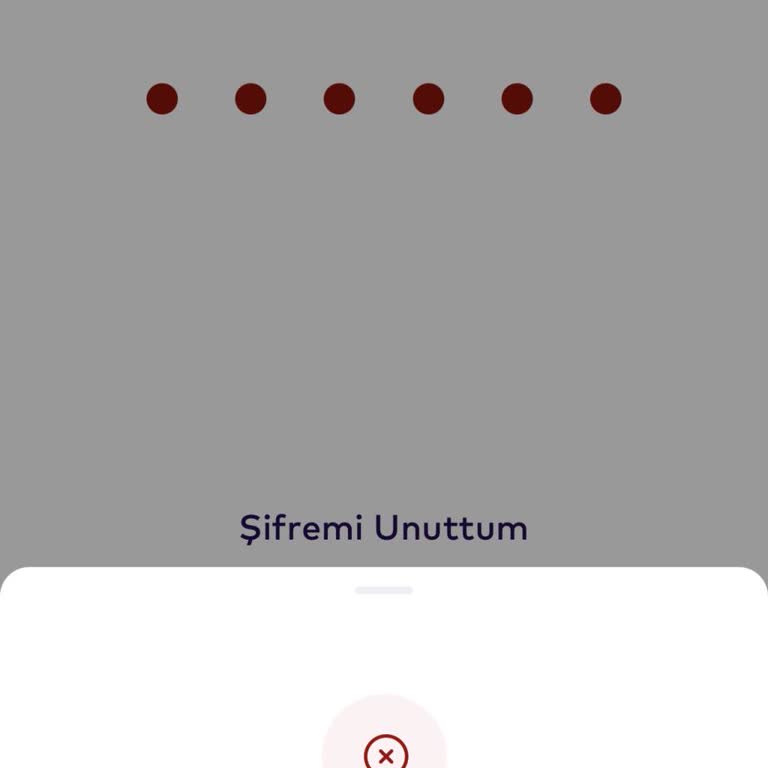 Param Uygulamaya Giremiyorum