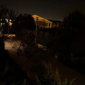 CK Enerji Akdeniz Elektrik Çok Önemli, Aydır Sokak Aydınlatmaları Çalışmıyor Ve Yılan Saldırdı