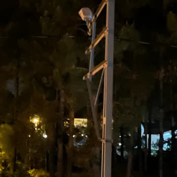 CK Enerji Akdeniz Elektrik Çok Önemli, Aydır Sokak Aydınlatmaları Çalışmıyor Ve Yılan Saldırdı