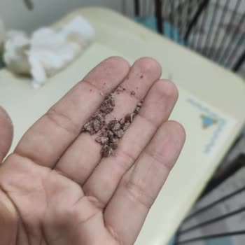 Suplementler.com Protein Tozundan Çıkan Katı Maddeler.