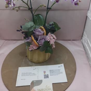 Taze Çiçek (tazecicek.com) Görselde Canlı Teslim Edilen Ucuz Görünümlü Bitik Basit Çiçek