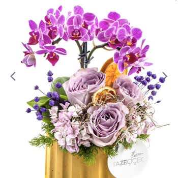 Taze Çiçek (tazecicek.com) Görselde Canlı Teslim Edilen Ucuz Görünümlü Bitik Basit Çiçek