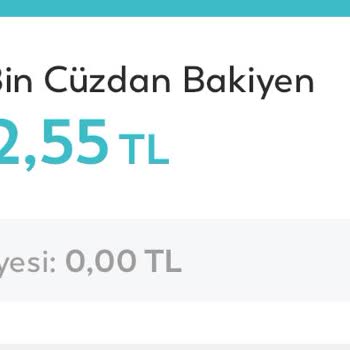 BinBin Binpass Para Sorunu