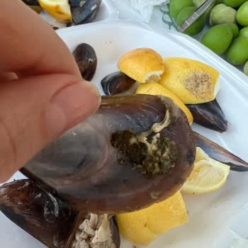 Malt Midye House Temizlenmemiş Midye Satılmaz