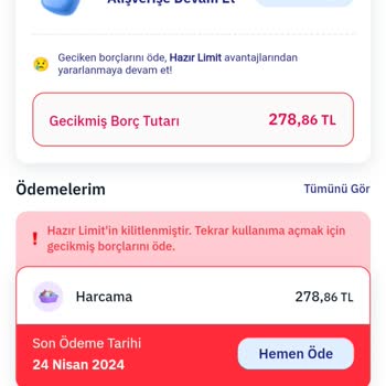 MoneyPay Borç Ödeme Ve Harcama Sorunu