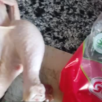 Gedik Piliç, Tavuğu Bağırsaklarıyla, Zehirli Safrasıyla Satıyor!