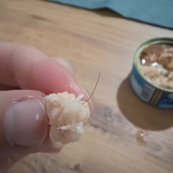 Pınar Et ve Süt Ton Balığı Konservesinden Yabancı Cisim Çıkması Üzerine Tüketici Tepkisi