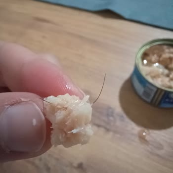 Pınar Et ve Süt Ton Balığı Konservesinden Yabancı Cisim Çıkması Üzerine Tüketici Tepkisi