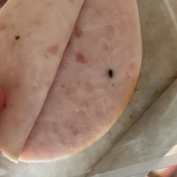 Namet Hindi Fümede Küflenme!