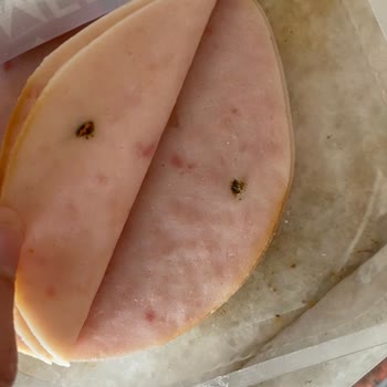 Namet Hindi Fümede Küflenme!