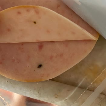 Namet Hindi Fümede Küflenme!