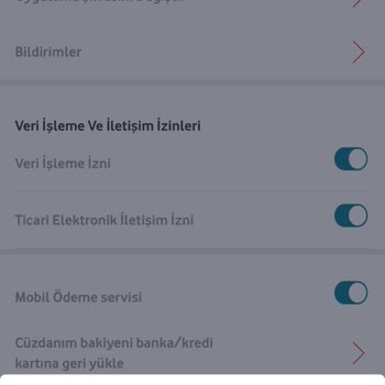 Vodafone Her Şey Yanımda Alışveriş Sorunu!