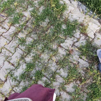 Skechers Spor Ayakkabı Yolda Yürürken Delindi.