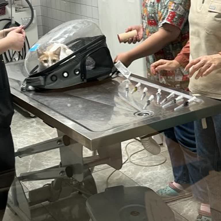 Şifa Veteriner Kliniği Haksızca Fazla Ücret Talep Ediyor!