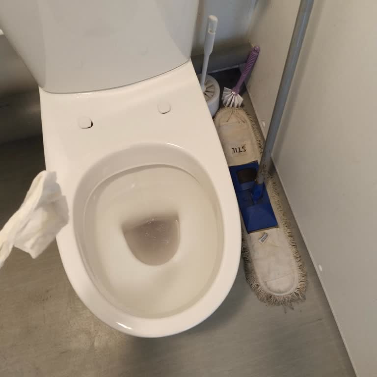 Elegant House İşletme Sahibinin Ayrıntıları