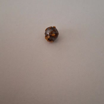 Makbul Fıstığın İçinden Çıkan Bilya