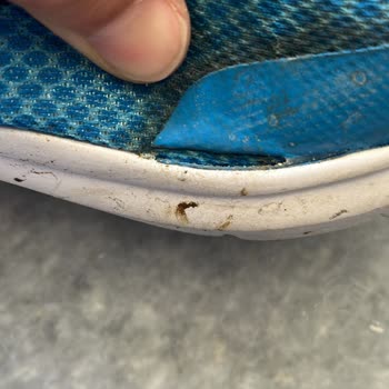 Skechers Pişmanlıktır Bir Kez Daha Yaşadım Teşekkürler.