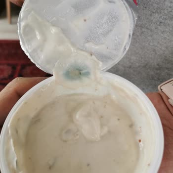 Sek Meyveli Yoğurt Küflenmesi