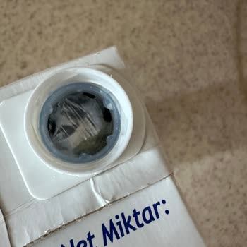 Birşah Kapak Altında Küflenme