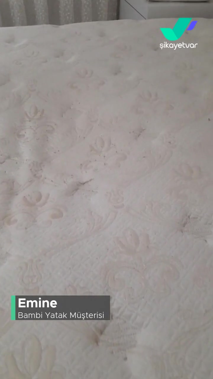 Bambi&nbsp; Çift Kişilik Yatakta Çökme! videonun kapak resmi