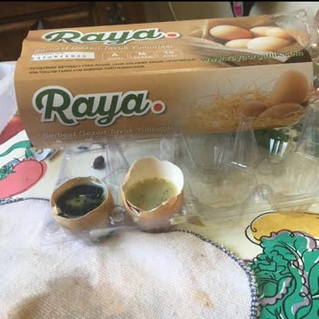 Raya Organik Bu Nedir Sizce