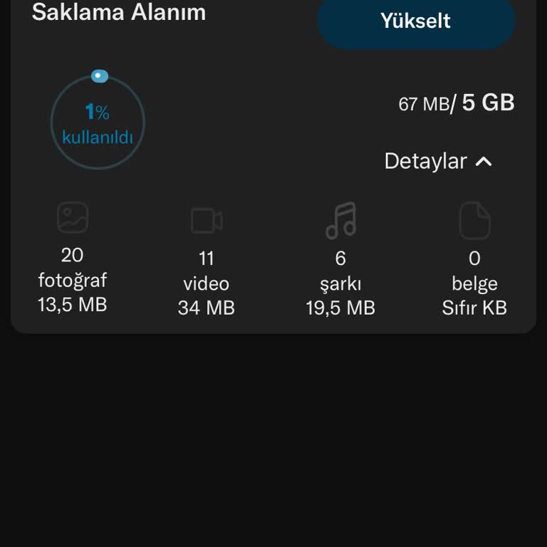 Lifebox Yedekli Fotoğraflara Erişim Problemi