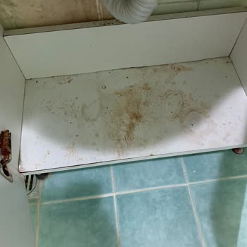 Benimtemizlikcim.com'dan Gelen Temizlikçinin Evi Daha Pis Bırakması