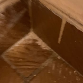 Benimtemizlikcim.com'dan Gelen Temizlikçinin Evi Daha Pis Bırakması